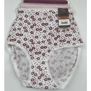 Secret Treasures Womens 3 pack Brief Underwear Panties NEW Size XS (4)